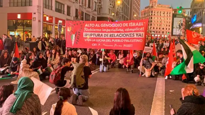 27-S: Jornada estatal de lucha por Palestina