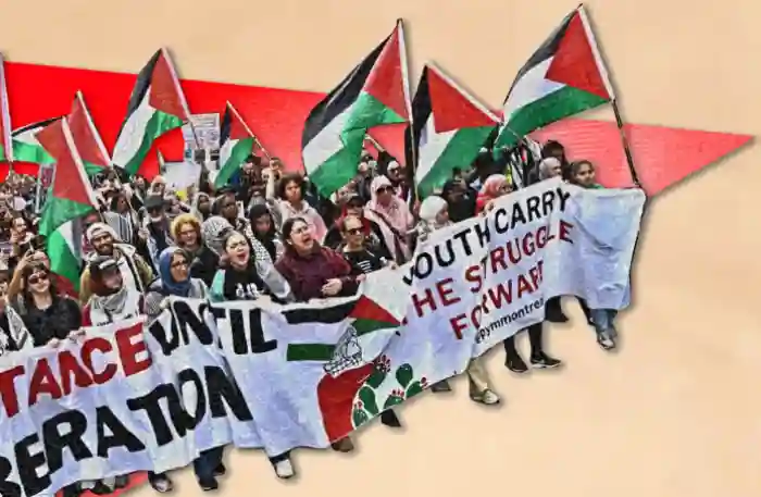 El 29N no puede conmemorarse como «Día Internacional de solidaridad con Palestina», sino como «Día de la Partición».