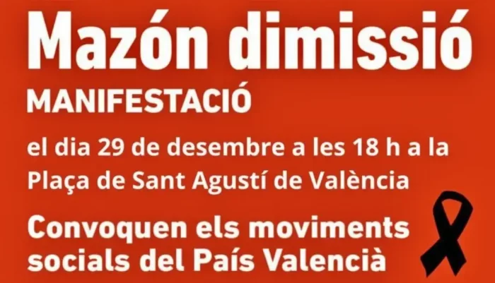 Cartel de la manifestación del 29 de diciembre en Valencia