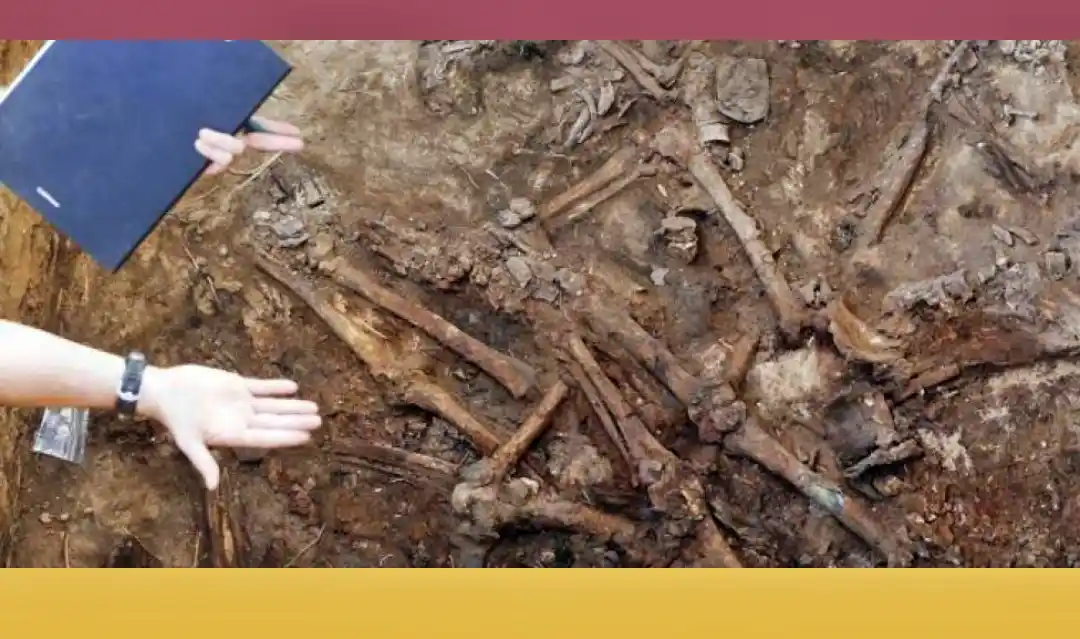 Excavación en el antiguo cementerio de Paterna revela indicios criminales