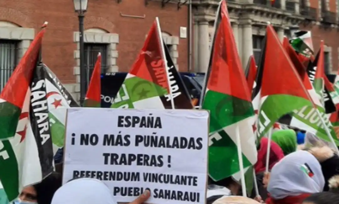 Manifestación en solidaridad con el Sahara