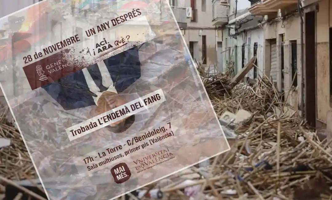 Cartel de Mai Mes sobre el Encuentro del 28 noviembre